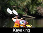 kayaking Tours