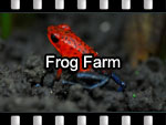 Fro Farm Video